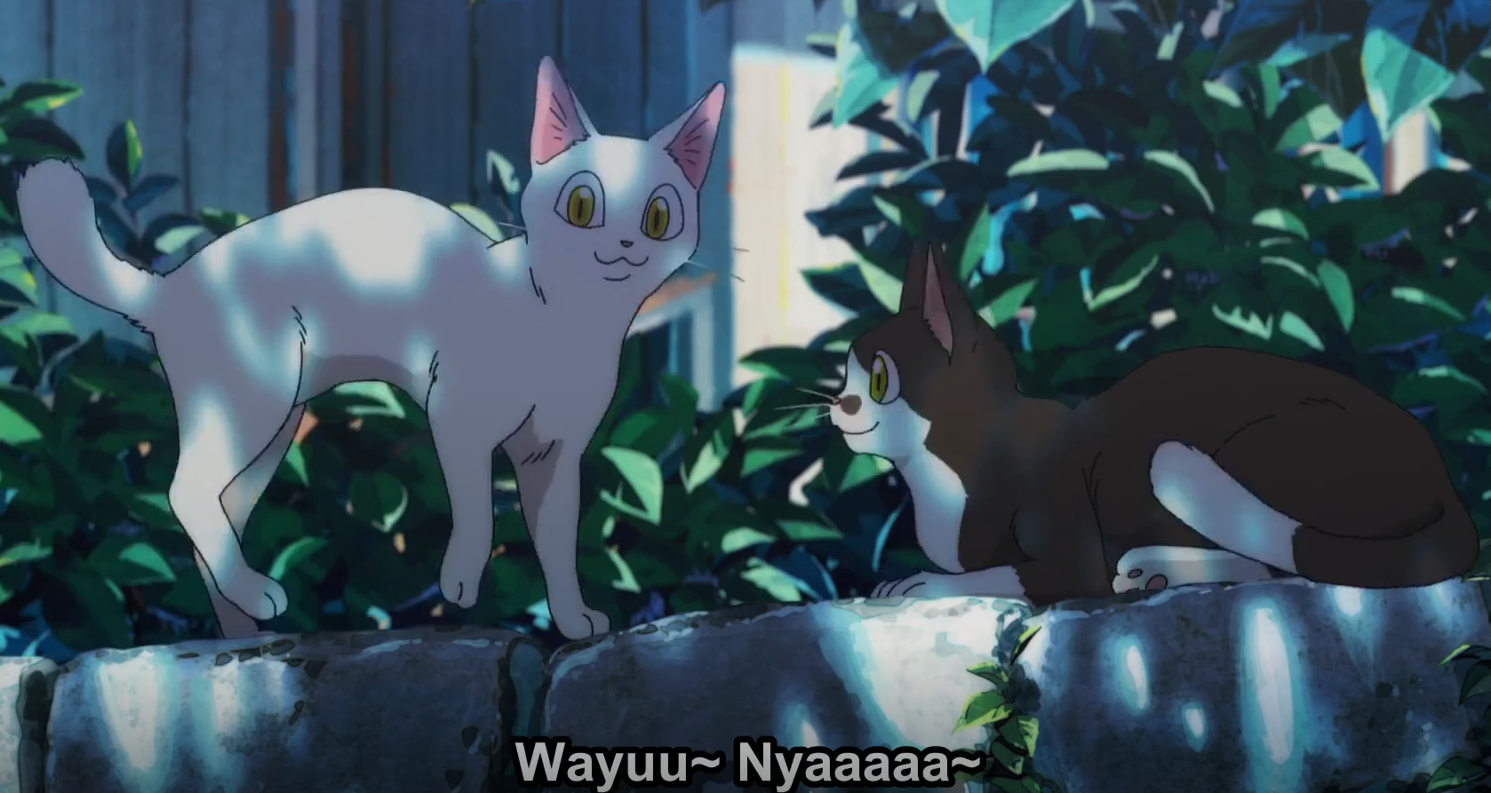 subs.png
