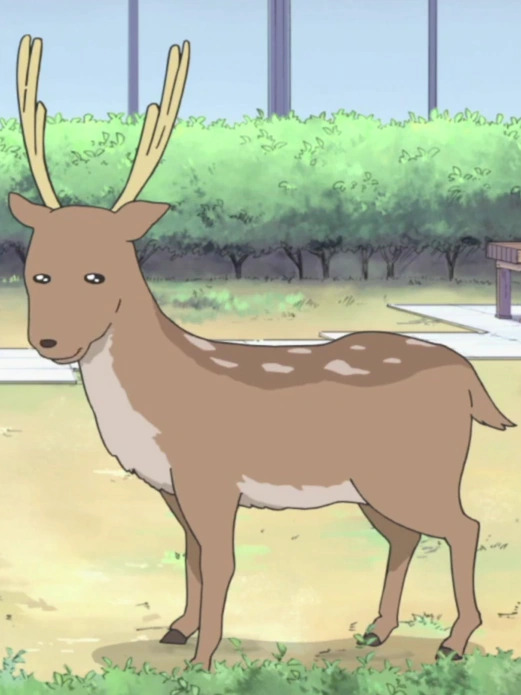 Deer.jpg