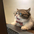 No unread posts